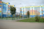 -, 82   